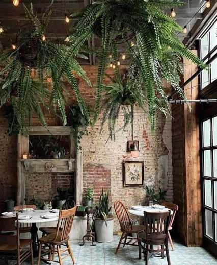cafe vibes