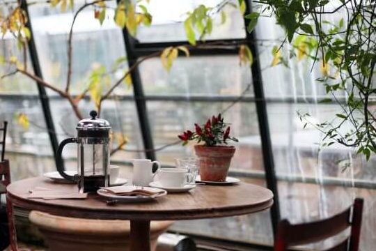 cafe with environment 1