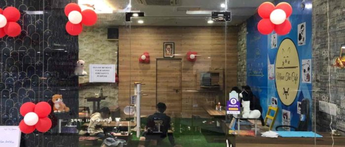 discover the best cafe in durg bhilainagar india a locals guide to top spots