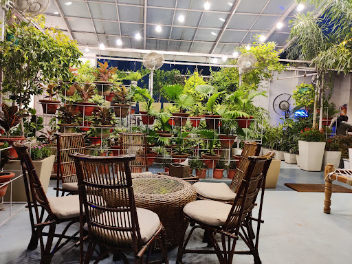 The Greenhouse Cafe