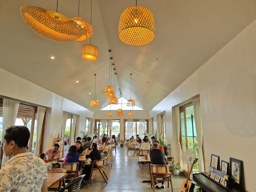 Harvest Cafe x Kitchen