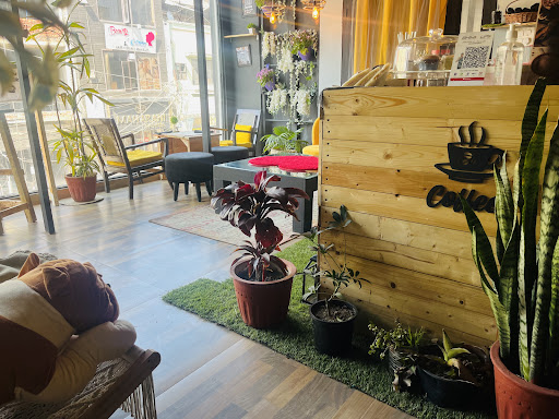 Cafe Beings
